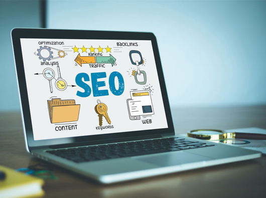 怎样做优化才能更吸引蜘蛛？