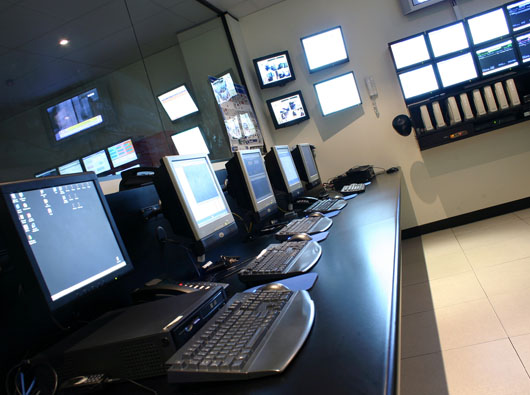 蓝狮签约法本信息技术