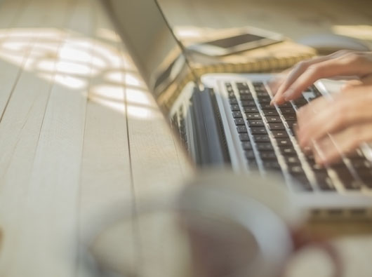 蓝狮签约桑格尔集团