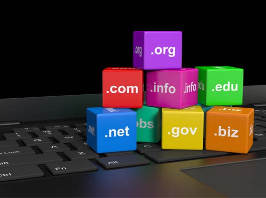 网站建设中低价与高价的利与弊！