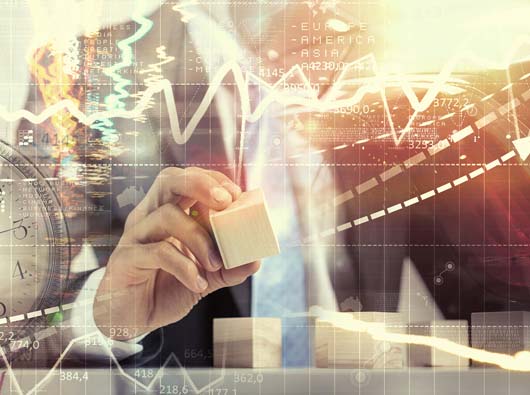 怎样做优化才能更吸引蜘蛛？