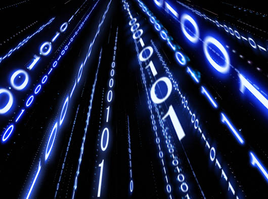 网站的具体组成部分是什么