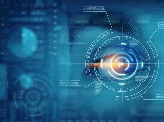 热烈祝贺蓝狮在线与大族智控携手打造品牌新形象新官网建设