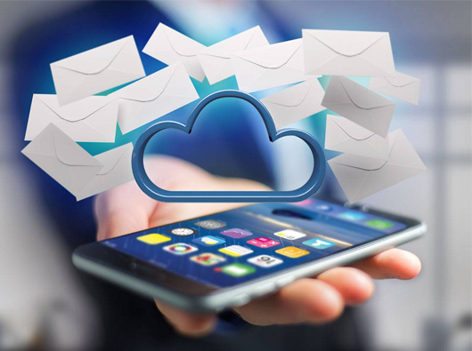 蓝狮签约红树林湿地保护协会