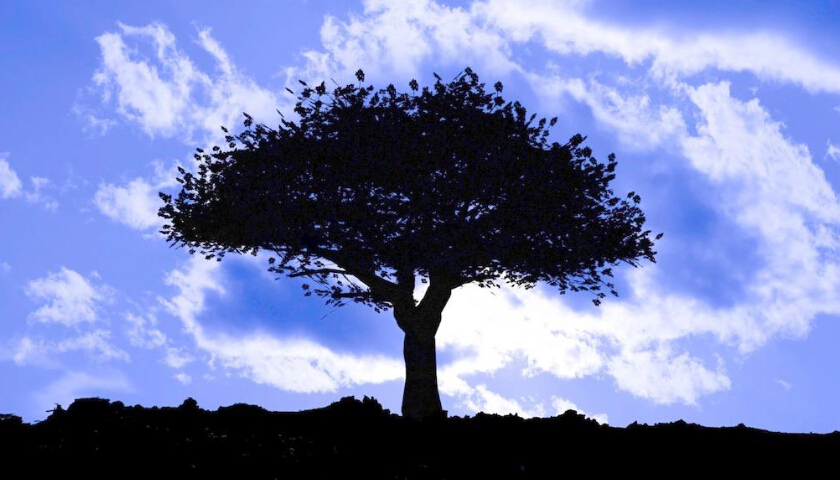 网站建设影响建站周期的几个点