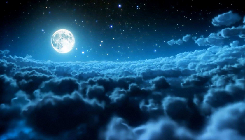 网站建设来讲述移动和pc端的差别在哪以下几点告诉你