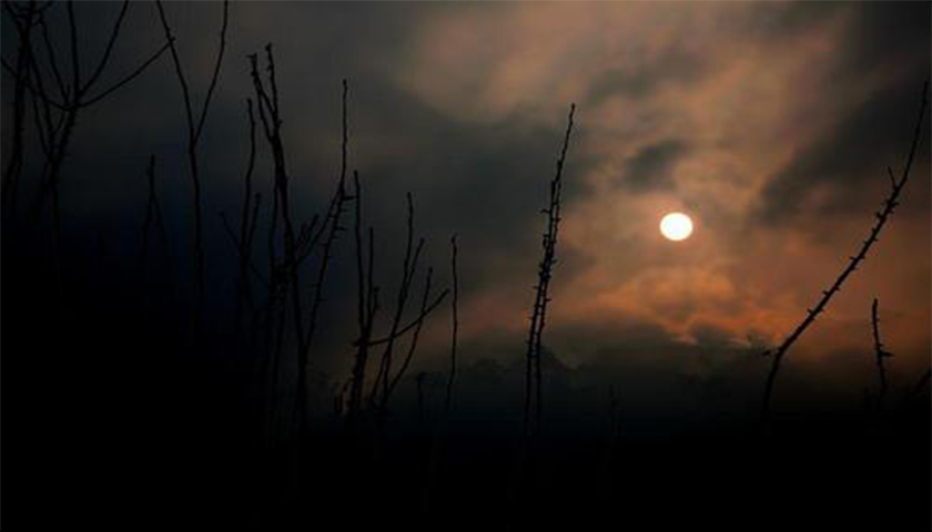 移动端网站建设的技巧你知道多少以下来看